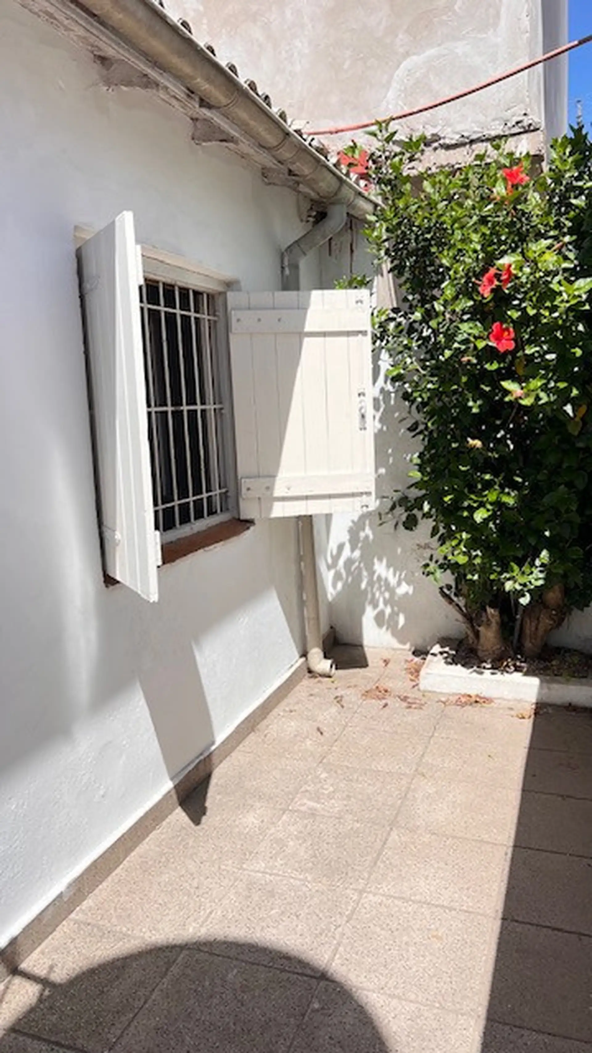 PH DE 4 AMB CON PATIO EN PLANTA BAJA