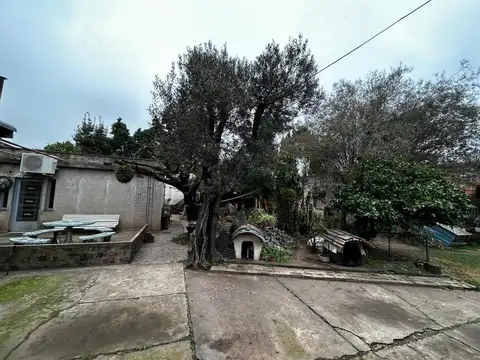 MUNRO 2 TERRENOS DE 10X30, MTRS LIBRES, GALPÓN Y VIVIENDAS!