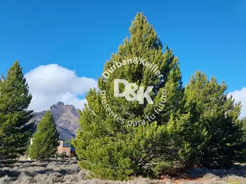 Lote en venta de 992m2 ubicado en Meliquina