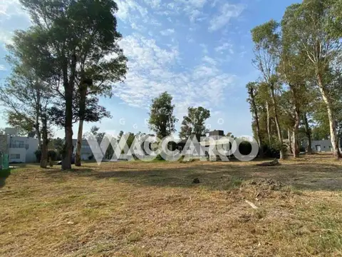 Lote en Venta Alvarez del Bosque