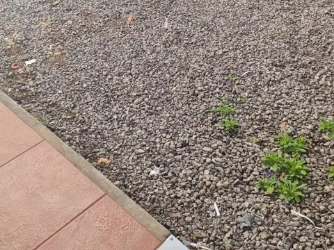 Casa en Alquiler con 1 cochera