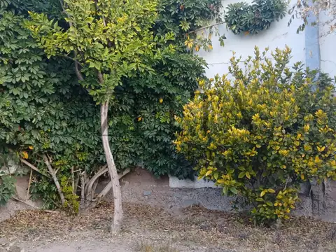Casa en Venta 40 años