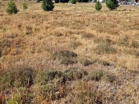 Villa rio quilquihue