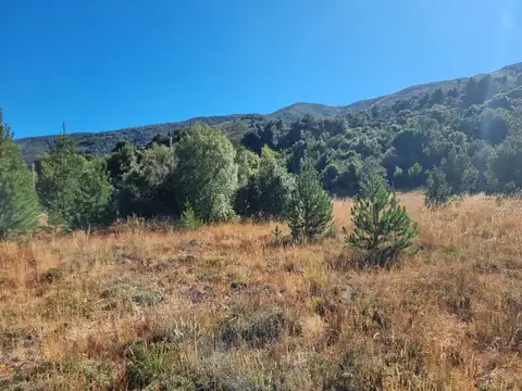 Terreno - Quilquihue