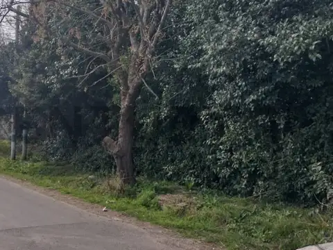 Terreno en Venta en La Plata, USD 25.000