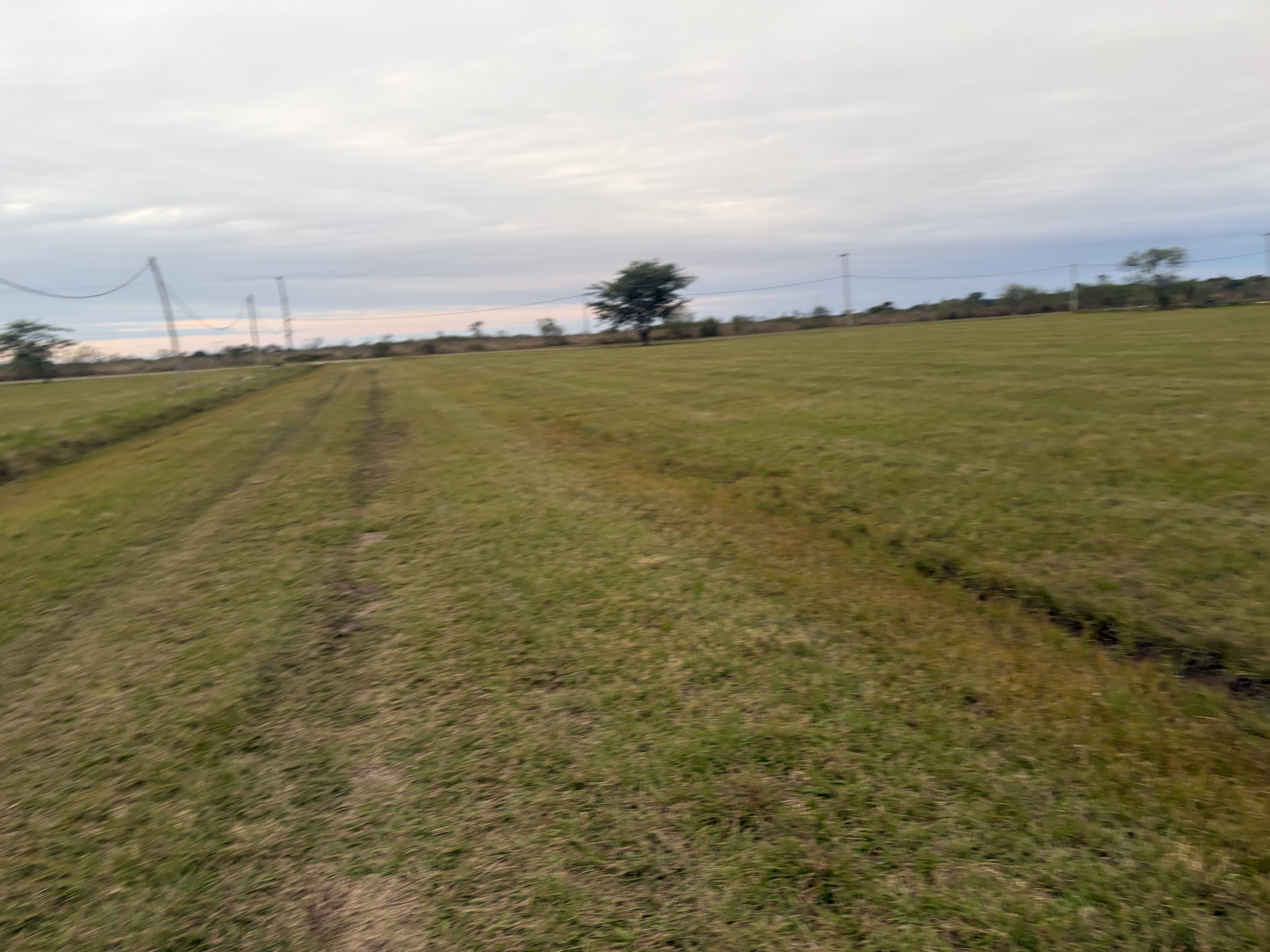 Terreno en Venta en Paso de la Patria, USD 19.000