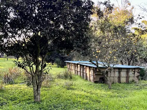 Terreno en Venta de 800,0 m2