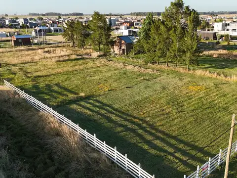 MATIENZO  al 1200 Domselaar, San Vicente