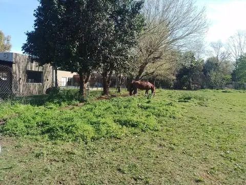 Lote Pilar. Cod:11223