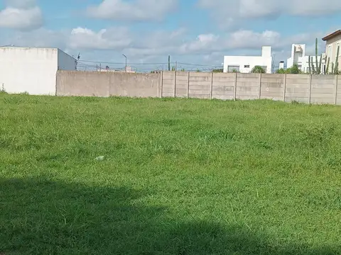 Natalio Perillo 800
