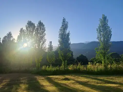 Chacra de una hectarea con casa en Camara Quijano