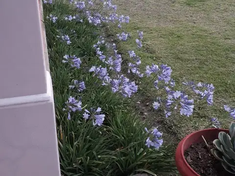 Chacra de una hectarea con casa en Camara Quijano
