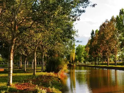 Terreno en Pinares del Sur