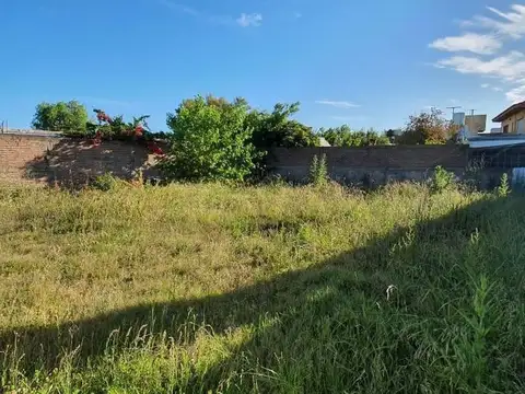Terreno en Venta 20  mts Fondo