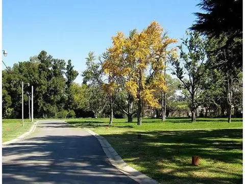 Terreno en Venta de 451,0 m2