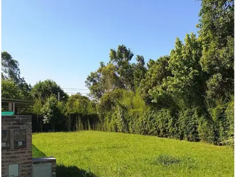 Pio Xii Lote / N° 28 - 3500