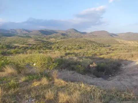 Terreno en Venta de 798,0 m2