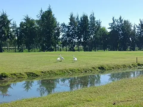 LOTE VENTA HARAS DEL SUR III VISTA AL GOLF 1000m