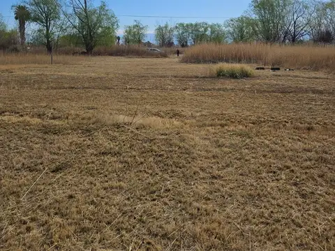 LOTE.EL SAUCE. CALLEJÓN FERRER. GUAYMALLÉN.730MTS