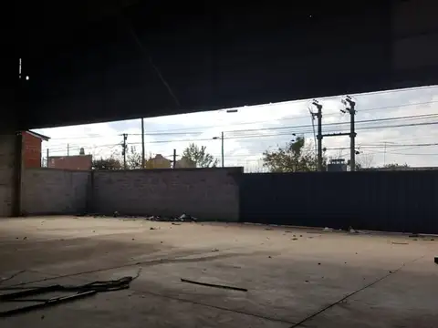 Juan Bautista Alberdi 100
