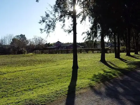 Terreno en Venta 49  mts Frente