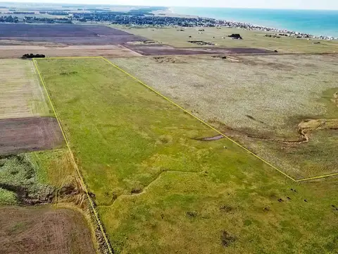 Mar del Sur - 69 has