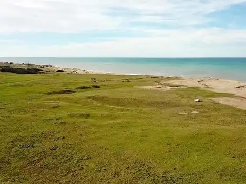 Mar del Sur - 69 has