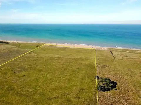 Mar del Sur - 69 has