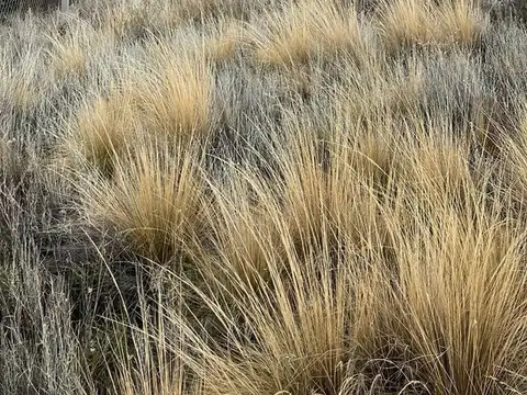 RUTA PROVINCIAL 82 100