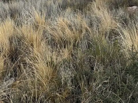Terreno en Venta de 2077,0 m2