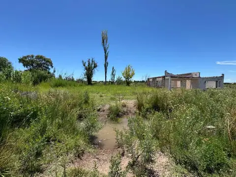 VENTA DE CAMPO OPORTUNIDAD EN SAN RAFAEL 21.5HS