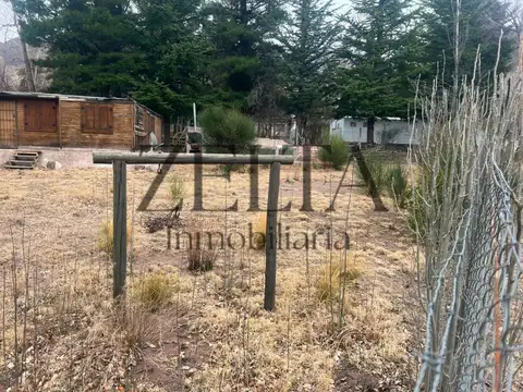 Los Tulipanes y Las Glicinas 5000