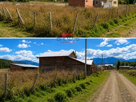 Cholila centro