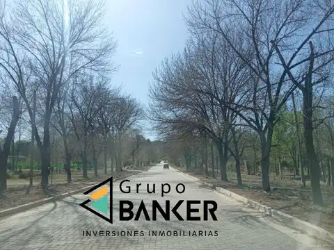 VENDO TERRENO EN COSQUIN CORDOBA