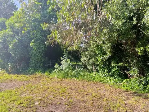 Estancia Vivorata