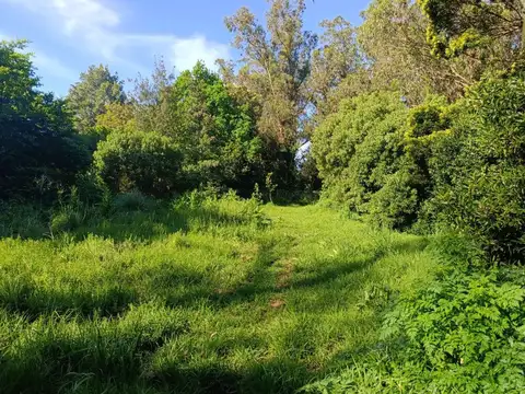 Terreno en Venta de 600,0 m2
