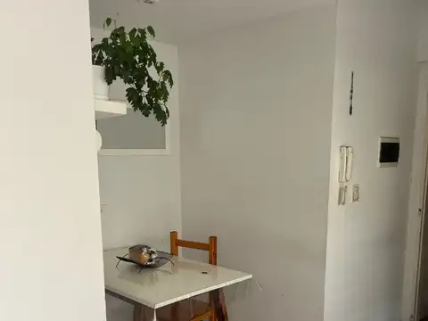 Departamento en Alquiler Permite mascota