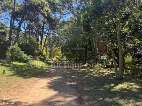 LOS LIRIOS E/ LAS ORQUIDEAS Y LAS VIOLETAS