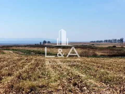 Terreno en Venta en Chicoana, USD 68.000