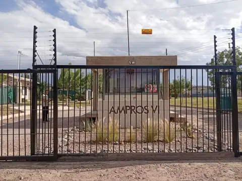 LOTE AMPROS VI