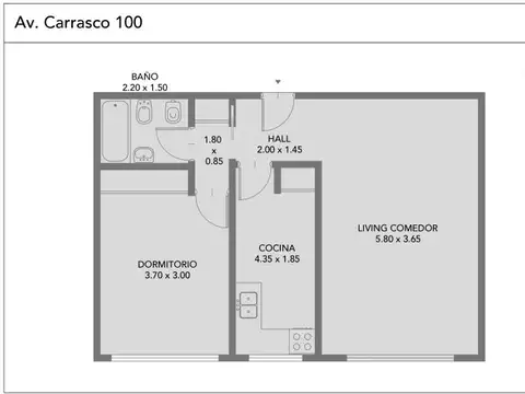 Avenida Carrasco 100 , Piso 1