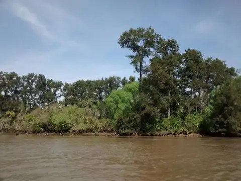 Terreno Lote  en Venta en Torito, Zona Delta, Tigre