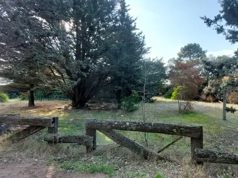 Terreno - Venta - Villa Gesell - Código 303 - BLANGIFORTI Propiedades