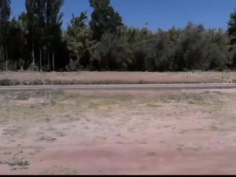 Carril Viejo 14600