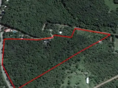 Camino Al Cuadrado 100