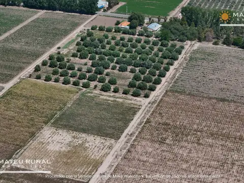 Finca en Maipú