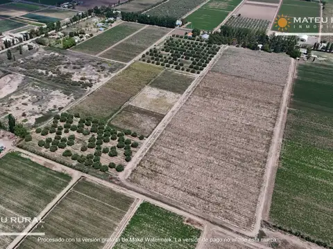 Campo en Venta de 14  ha