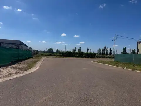 Araoz 900