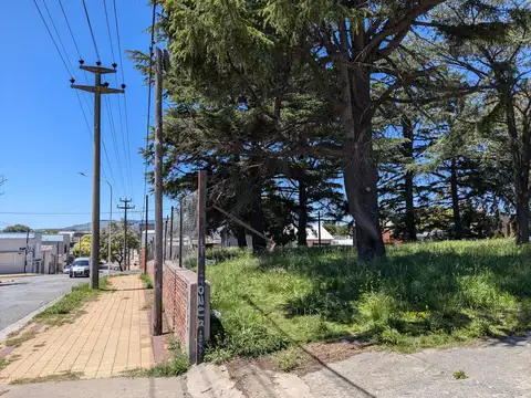 Terreno en Venta 40  mts Fondo