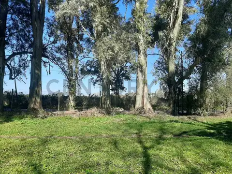 Lote en esquina de 50x50 en sicardi
